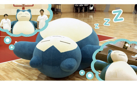 大型練習生のカビゴンが男子プロバスケットボールチーム「千葉ジェッツ」とのプロ選手契約を断念！生活リズムが合わず