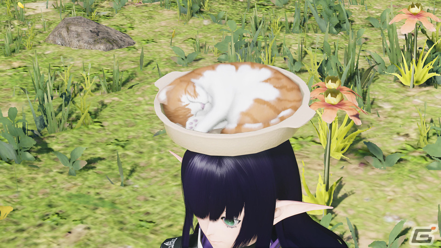 「PSO2 ニュージェネシス」でACスクラッチ「ニューイヤーズチャーム」が開催!カラフルな振袖や貴族風ウェアが登場の画像