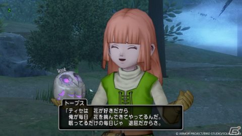 「ドラゴンクエストX　未来への扉とまどろみの少女　オンライン」果ての大地ゼニアスにある「メネト村」と村の異変に立ち向かうキャラクターを紹介！の画像7