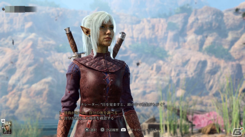 年末休みに「バルダーズ・ゲート3」のマルチプレイにドハマリしたので紹介したい【年末年始企画】の画像5
