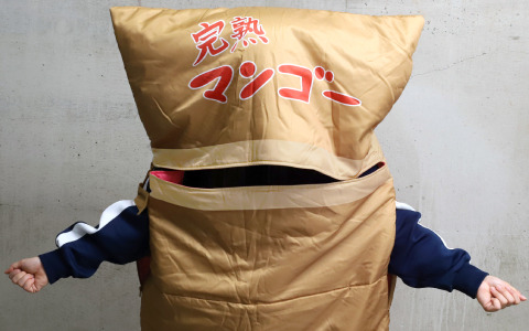 アニメ「ぼっち・ざ・ろっく！」より“完熟マンゴーの段ボール”風の寝袋が登場！両サイドから腕を出すことも可能