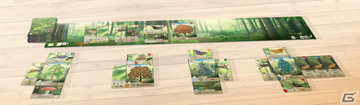 森を育てるセットコレクション系カードゲーム「フォレストシャッフル」日本語版が2月上旬に発売！樹木や動物を集めて生態系豊かな森を作ろうの画像
