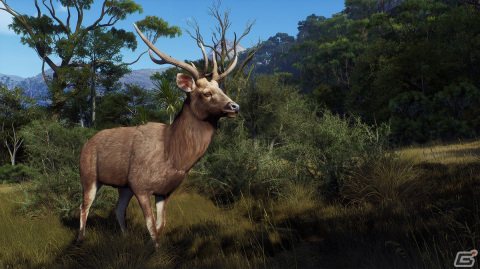 「Way of the Hunter」のDLC「マタリキ公園」が2月6日に配信！新たな狩猟の舞台はニュージーランドの画像
