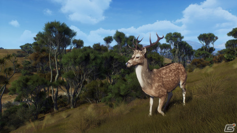「Way of the Hunter」のDLC「マタリキ公園」が2月6日に配信！新たな狩猟の舞台はニュージーランドの画像