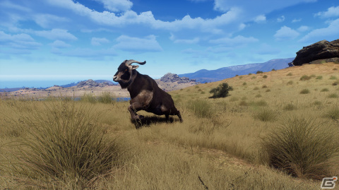 「Way of the Hunter」のDLC「マタリキ公園」が2月6日に配信！新たな狩猟の舞台はニュージーランドの画像