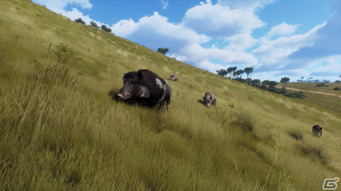 「Way of the Hunter」のDLC「マタリキ公園」が2月6日に配信！新たな狩猟の舞台はニュージーランドの画像
