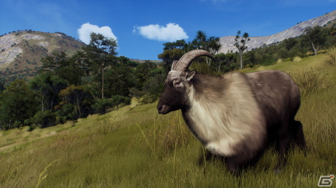 「Way of the Hunter」のDLC「マタリキ公園」が2月6日に配信！新たな狩猟の舞台はニュージーランドの画像