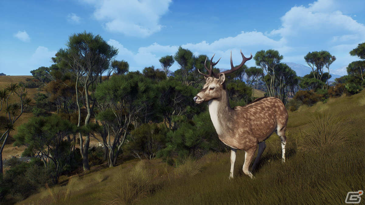 「Way of the Hunter」のDLC「マタリキ公園」が2月6日に配信！新たな狩猟の舞台はニュージーランドの画像12