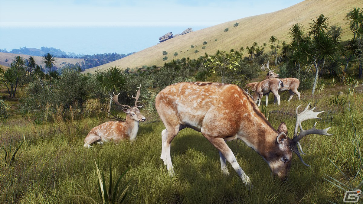 「Way of the Hunter」のDLC「マタリキ公園」が2月6日に配信！新たな狩猟の舞台はニュージーランドの画像3