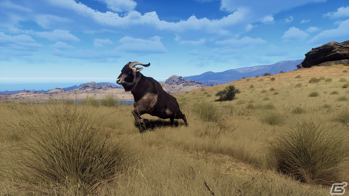 「Way of the Hunter」のDLC「マタリキ公園」が2月6日に配信！新たな狩猟の舞台はニュージーランドの画像4