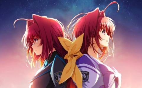 「Muv-Luv 20th Odyssey Box」のパッケージビジュアルが公開！帝国軍衛士徽章やカラビナマグカップなどの特典画像も