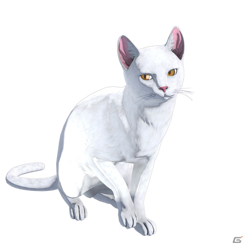 ミャオ