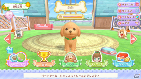 わんこと遊びながらドッグトレーナーを目指すなりきりシミュレーション「わんことあそぼ！　めざせドッグトレーナー！」が4月25日に発売決定！の画像14