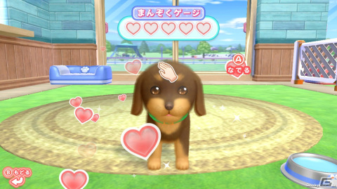 わんこと遊びながらドッグトレーナーを目指すなりきりシミュレーション「わんことあそぼ！　めざせドッグトレーナー！」が4月25日に発売決定！の画像15