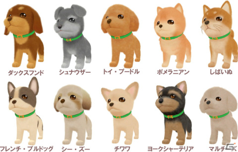 わんこと遊びながらドッグトレーナーを目指すなりきりシミュレーション「わんことあそぼ！　めざせドッグトレーナー！」が4月25日に発売決定！の画像18