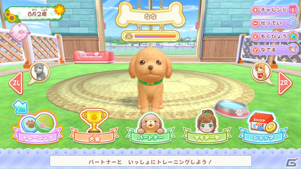 わんこと遊びながらドッグトレーナーを目指すなりきりシミュレーション「わんことあそぼ！　めざせドッグトレーナー！」が4月25日に発売決定！の画像