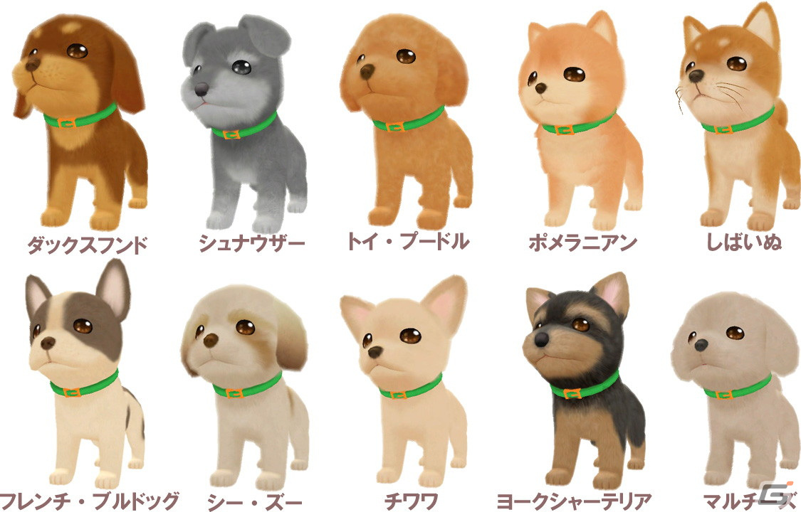 わんこと遊びながらドッグトレーナーを目指すなりきりシミュレーション「わんことあそぼ！　めざせドッグトレーナー！」が4月25日に発売決定！の画像