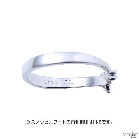 「まほやく」コラボジュエリー第四弾の受注が開始!北の国の魔法使いをイメージしたシルバーリングとネックレスが登場の画像