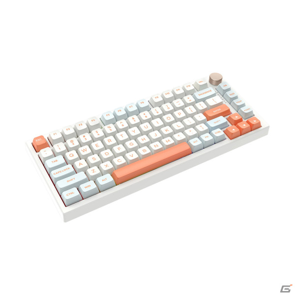 ゲーミングデバイスブランド「VGN」製品の国内販売が開始!高精度センサー搭載の超軽量ワイヤレスマウス「Dragonfly F1」シリーズなどを展開の画像