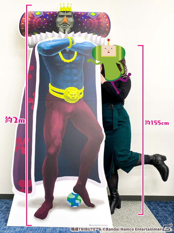 ※比較:カイシャイン約155cm