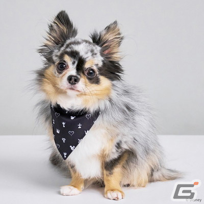 スクウェア・エニックスがペットグッズブランド「SQEX PETs」を展開！「ドラゴンクエスト」「FF」などのアイテムが登場の画像12