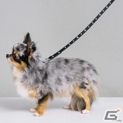 スクウェア・エニックスがペットグッズブランド「SQEX PETs」を展開！「ドラゴンクエスト」「FF」などのアイテムが登場の画像14