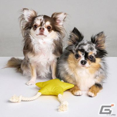 ロープトイ for Dog パオプの実