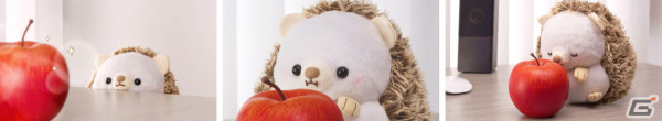 カプコン公式はりねずみ「まるまる はりまる」がおにいさん（CV：梅原裕一郎）の家で過ごす日常を描いた動画3種が公開！の画像4