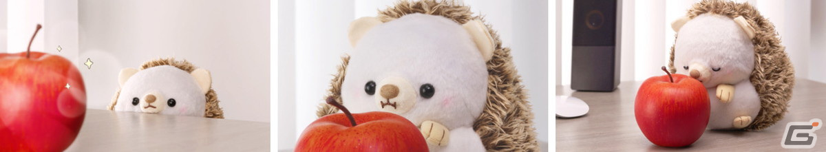 カプコン公式はりねずみ「まるまる はりまる」がおにいさん（CV：梅原裕一郎）の家で過ごす日常を描いた動画3種が公開！の画像