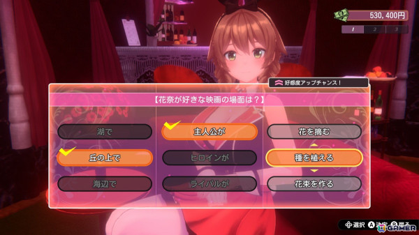 バニーガーデン　立体マウスパッド　花奈 バニーガーデン 通常版 DXパック(花奈VIPルームセット) + 3D
