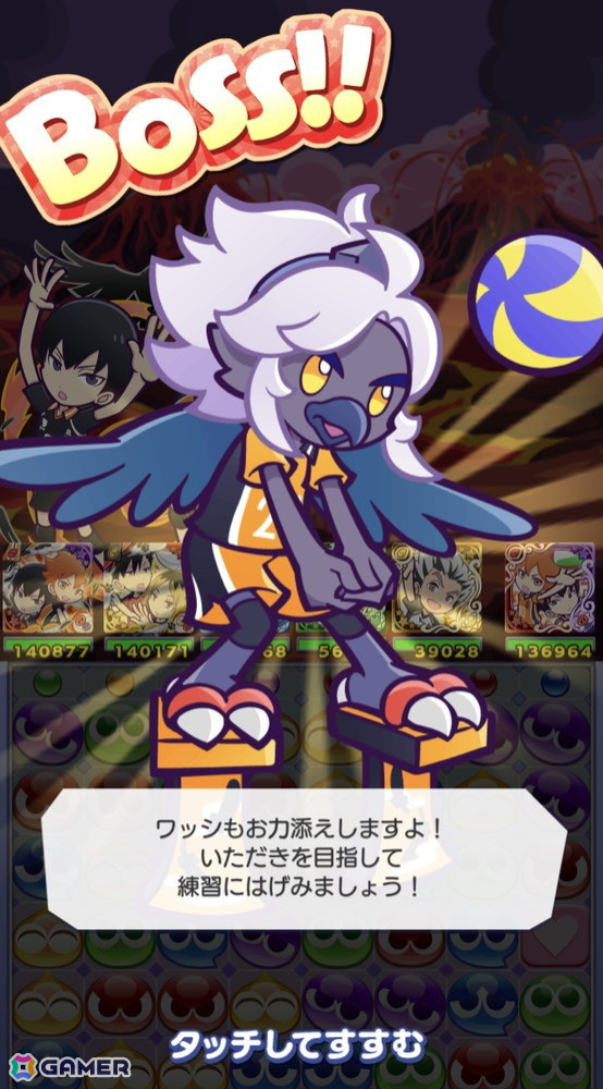 「ぷよクエ」と「ハイキュー!!」のコラボ第3弾を先行プレイ!日向&影山と黒尾&研磨の名コンビが登場の画像