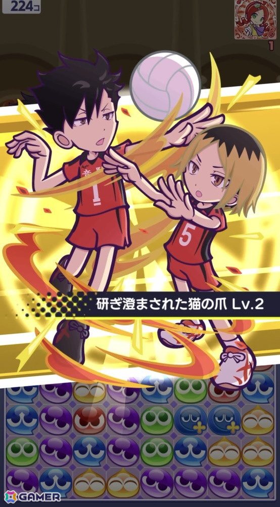 「ぷよクエ」と「ハイキュー!!」のコラボ第3弾を先行プレイ!日向&影山と黒尾&研磨の名コンビが登場の画像