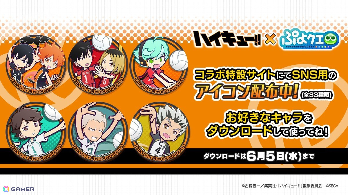 「ぷよクエ」と「ハイキュー!!」のコラボ第3弾を先行プレイ!日向&影山と黒尾&研磨の名コンビが登場の画像