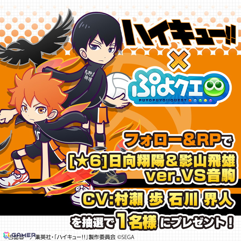 「ぷよクエ」と「ハイキュー!!」のコラボ第3弾を先行プレイ!日向&影山と黒尾&研磨の名コンビが登場の画像
