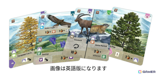 森林育成カードゲーム「フォレストシャッフル」の拡張セット「フォレストシャッフル：アルプス」日本語版が6月下旬に発売！欧州山岳地帯の動植物が追加の画像2