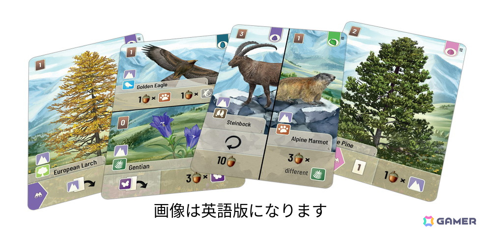 森林育成カードゲーム「フォレストシャッフル」の拡張セット「フォレストシャッフル:アルプス」日本語版が6月下旬に発売!欧州山岳地帯の動植物が追加の画像