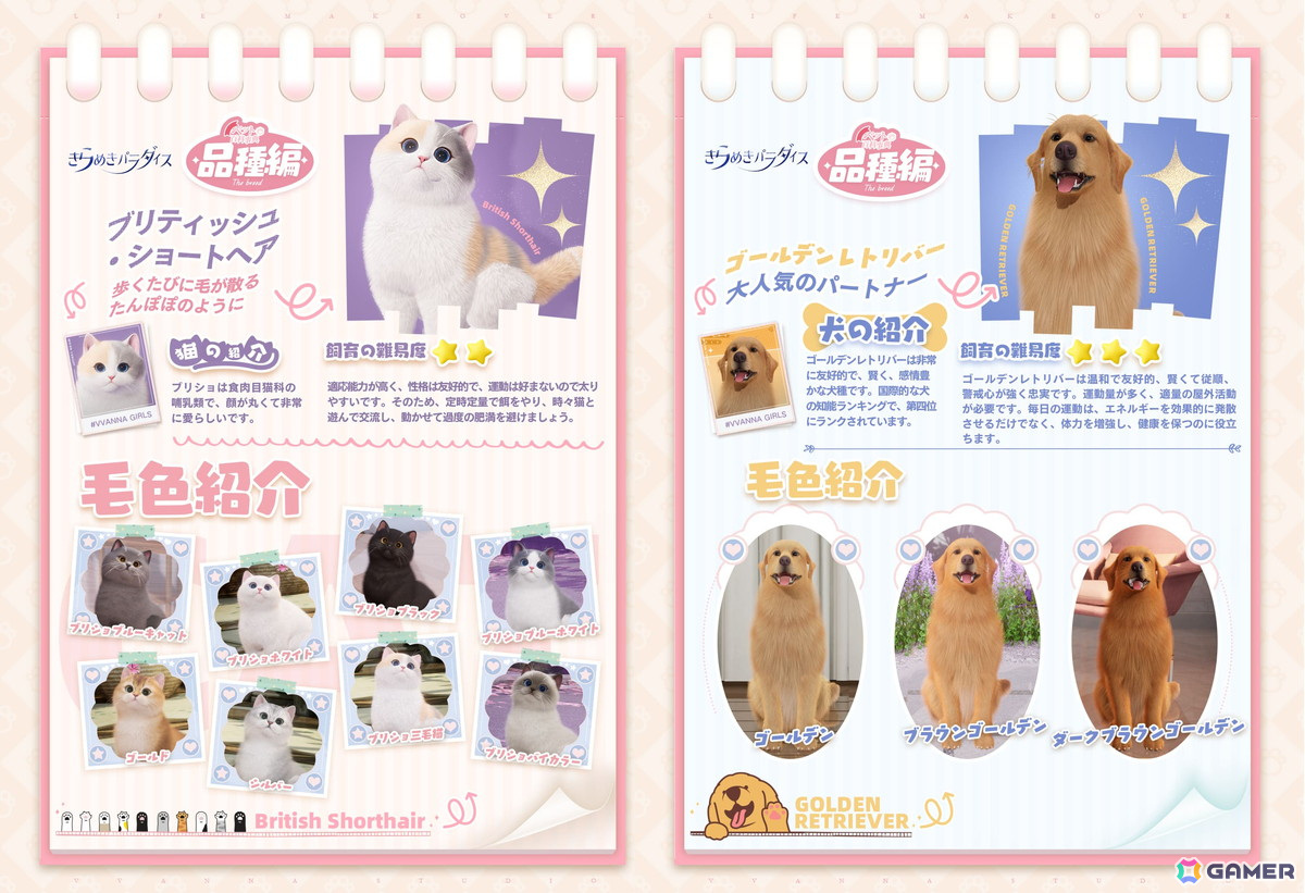 「きらめきパラダイス」オリジナルペットを育てられるペットシステムが実装！星5限定セットコーデ「I号機」と「サンドスピーク」も登場の画像