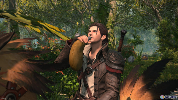 「ファイナルファンタジーXIV: 黄金のレガシー」のベンチマークソフトがVer.1.1に更新！各種族のモデル修正・調整などを実施の画像1