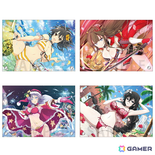 シノビマスター 閃乱カグラ NEW LINK ゲーマーズストア」が6月28日より