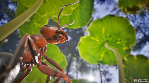 蟻の世界で繰り広げられるリアルタイムストラテジー「Empire of the Ants」の配信日が11月7日に決定！の画像