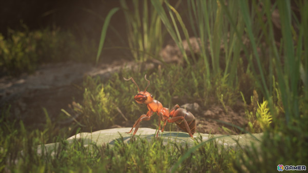 蟻の世界で繰り広げられるリアルタイムストラテジー「Empire of the Ants」の配信日が11月7日に決定！の画像