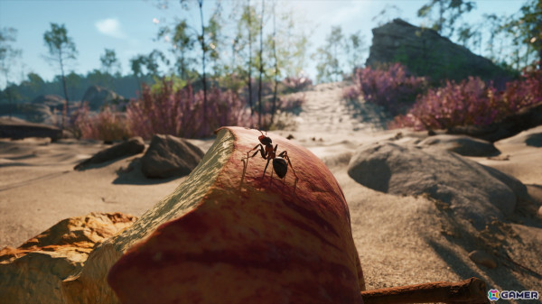蟻の世界で繰り広げられるリアルタイムストラテジー「Empire of the Ants」の配信日が11月7日に決定！の画像