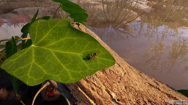 蟻の世界で繰り広げられるリアルタイムストラテジー「Empire of the Ants」の配信日が11月7日に決定！の画像