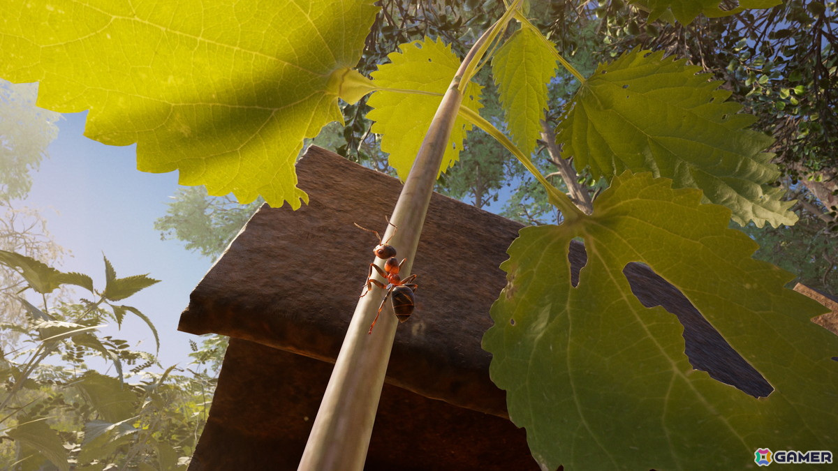 蟻の世界で繰り広げられるリアルタイムストラテジー「Empire of the Ants」の配信日が11月7日に決定！の画像7
