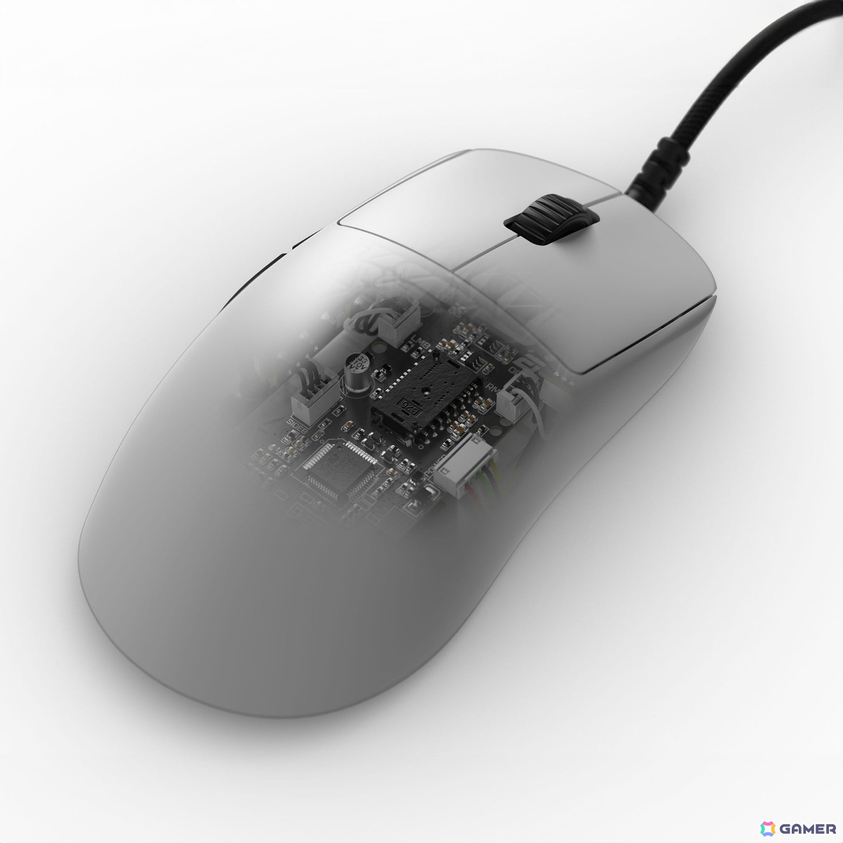 つかみ持ち特化の小型ゲーミングマウス「Endgame Gear『OP1』」有線モデル3種が発売！メインスイッチのカスタムも可能の画像