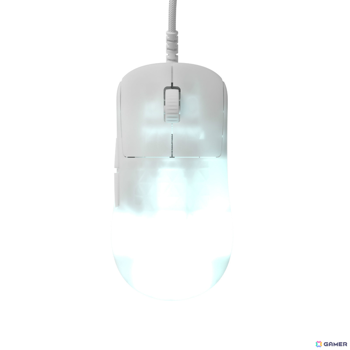 つかみ持ち特化の小型ゲーミングマウス「Endgame Gear『OP1』」有線モデル3種が発売！メインスイッチのカスタムも可能の画像6