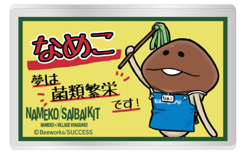 「なめこ栽培キット」×ヴィレッジヴァンガードのコラボグッズの受注販売が開始！TシャツやPOP風ネームバッジなどがラインナップ