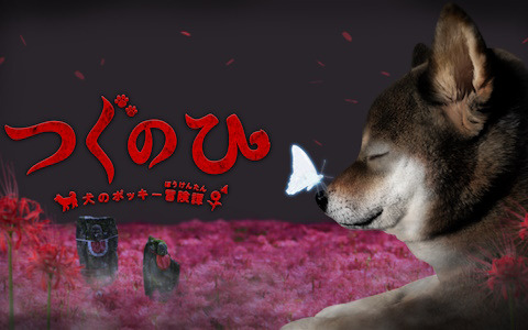 ゲーム実況者のポッキーさんと日常侵食ホラーゲーム「つぐのひ」とのコラボ作品「つぐのひ -犬のポッキー冒険譚-」がSteamで配信！