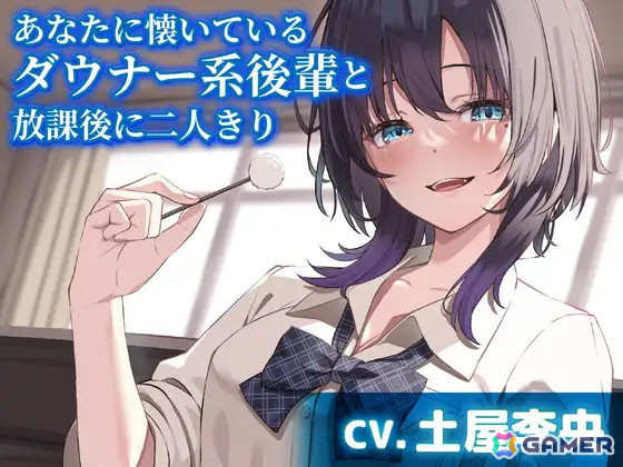 「トリスティア とりとりバンドルパック」などのゲームやマンガ、音声作品が最大95％オフ！「DLsite」でサマーセールが開催の画像14