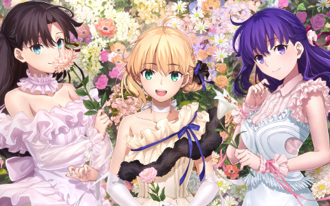 「『Fate/stay night』20周年記念コンサート」ufotable描き下ろしのキービジュアルが公開！チケット先行抽選申込みも受付中